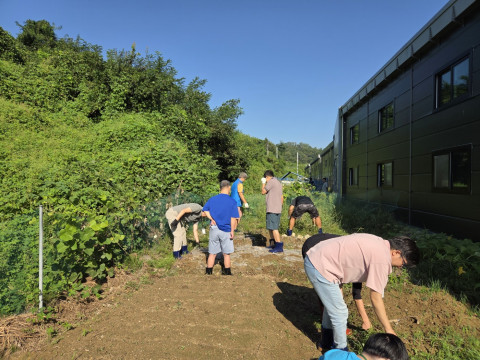 텃밭가꾸기_20250909